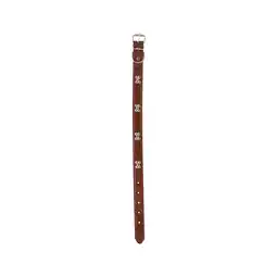Van Cranenbroek Halsband Hond aanbieding
