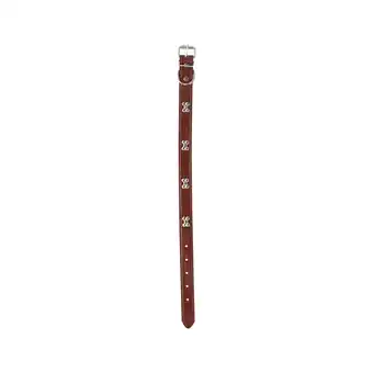 Van Cranenbroek Halsband Hond aanbieding