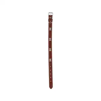 Van Cranenbroek Halsband Hond aanbieding