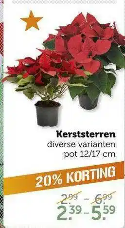 CoopCompact Kerststerren 20% Korting aanbieding