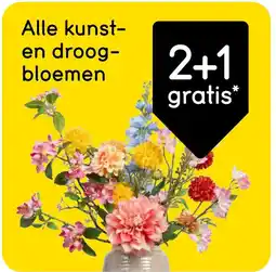 Leen Bakker Alle kunst en droog bloemen aanbieding