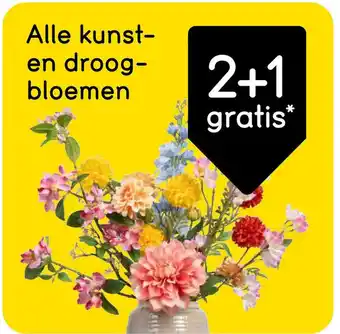 Leen Bakker Alle kunst en droog bloemen aanbieding