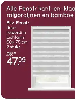 Leen Bakker Alle Fenstr kant-en-klaar (duo) rolgordijnen en bamboe rolgordijnen aanbieding