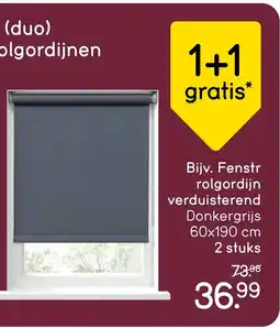 Leen Bakker Fenstr rolgordijn verduisterend aanbieding