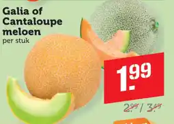 Dagwinkel Galia of Cantaloupe meloen aanbieding