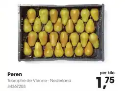 HANOS Peren aanbieding