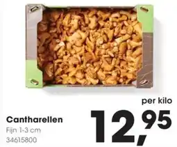HANOS Cantharellen aanbieding
