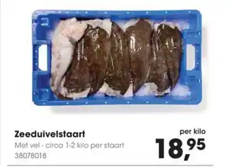 HANOS Zeeduivelstaart aanbieding