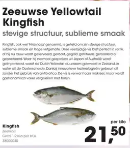 HANOS Kingfish aanbieding