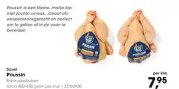 HANOS Savel Poussin aanbieding