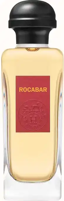 Bol.com Hermes Rocabar Mannen 100 ml aanbieding