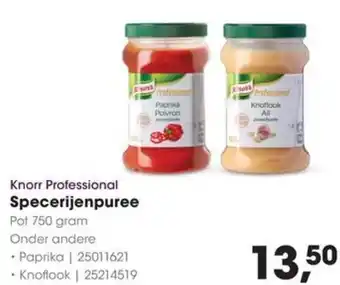 HANOS Knorr Professional Specerijenpuree aanbieding
