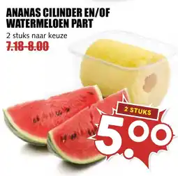 De Boerenschuur Ananas cilinder en of watermeloen part aanbieding