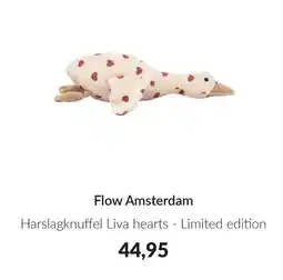 Babypark Flow Amsterdam aanbieding