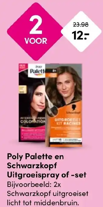 Drogisterij Visser Poly Palette en Schwarzkopf Uitgroeispray of set aanbieding