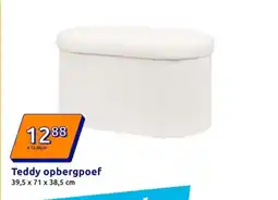 Action Teddy opbergpoef aanbieding