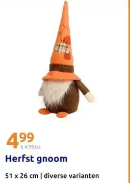 Action Herfst gnoom aanbieding