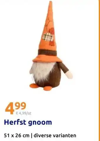 Action Herfst gnoom aanbieding