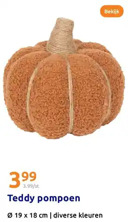 Action Teddy pompoen aanbieding