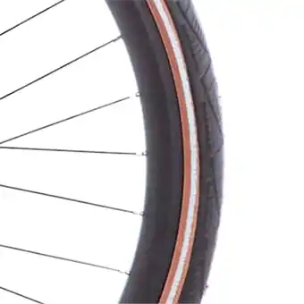 ANWB Cortina CST btb Antonov 28 x 1.60 zwart/bruin refl Meerkleurig aanbieding