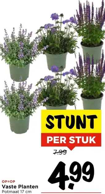 Vomar Voordeelmarkt Vaste Planten aanbieding
