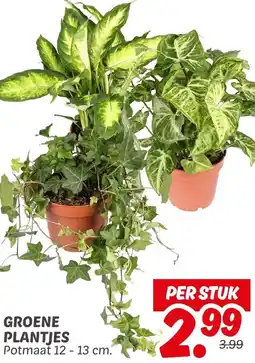 Dekamarkt Groene plantjes aanbieding