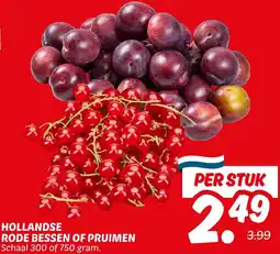 Dekamarkt Hollandse rode bessen of pruimen aanbieding