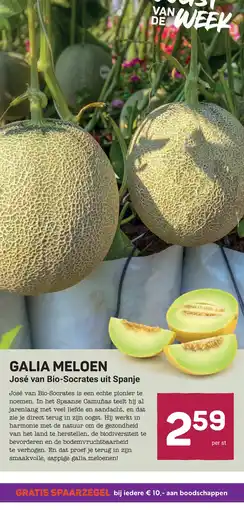 Ekoplaza Galia meloen aanbieding