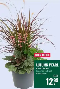 GroenRijk Autumn pearl aanbieding