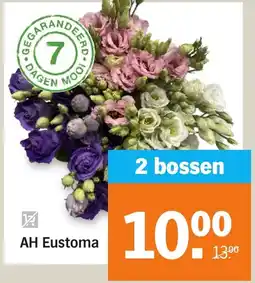 Albert Heijn AH Eustoma aanbieding