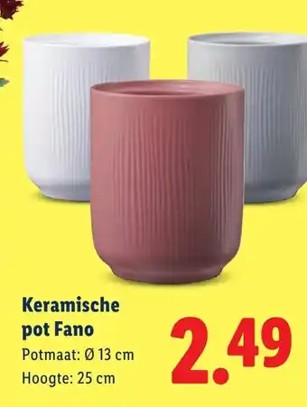 Lidl Keramische pot Fano aanbieding