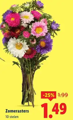 Lidl Zomerasters aanbieding