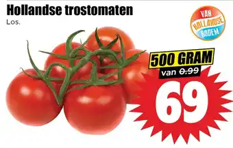 Dirk Hollandse Trostomaten aanbieding