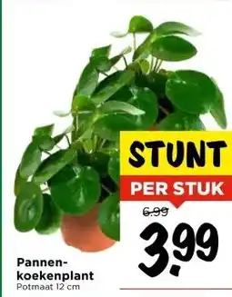 Vomar Voordeelmarkt Pannen- koekenplant aanbieding