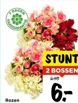 Vomar Voordeelmarkt Rozen Bos 9 stelen aanbieding