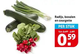 Hoogvliet Radijs, bosuien en courgette aanbieding