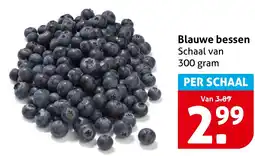 Hoogvliet Blauwe bessen aanbieding