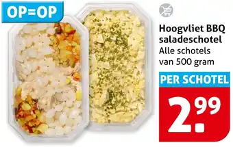 Hoogvliet Hoogvliet BBQ saladeschotel aanbieding
