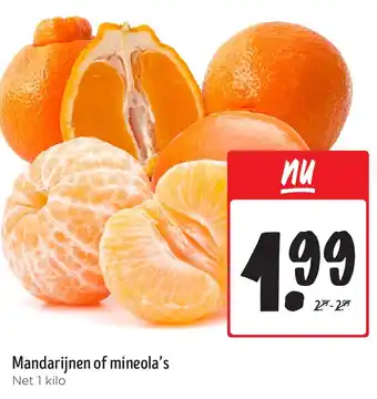 Jumbo Mandarijnen of mineola's aanbieding