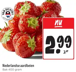 Jumbo Nederlandse aardbeien aanbieding
