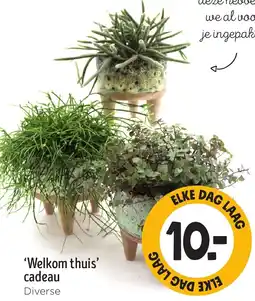 Jumbo Welkom thuis cadeau aanbieding