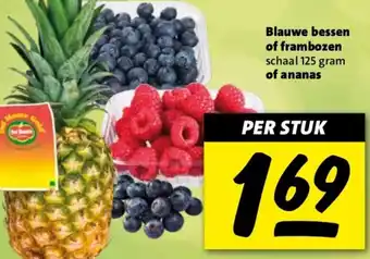 Nettorama Blauwe bessen of frambozen of ananas aanbieding