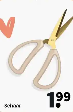 Wibra Schaar aanbieding