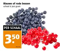 Poiesz Blauwe of rode bessen aanbieding