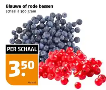 Poiesz Blauwe of rode bessen aanbieding