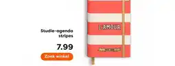 The Read Shop Studie agenda stripes aanbieding