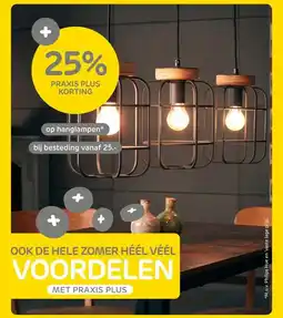 Praxis OOK DE HELE ZOMER HÉÉL VÉÉL VOORDELEN aanbieding