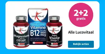 Plein.nl Alle Lucovitaal aanbieding