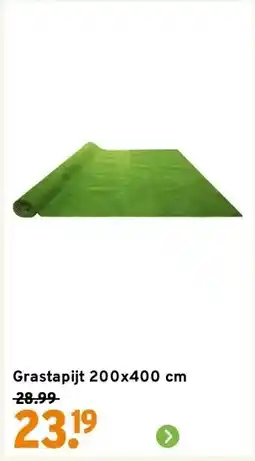 GAMMA Grastapijt 200x400 cm aanbieding