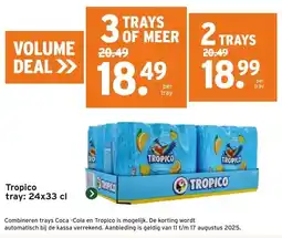 GAMMA Tropico tray aanbieding